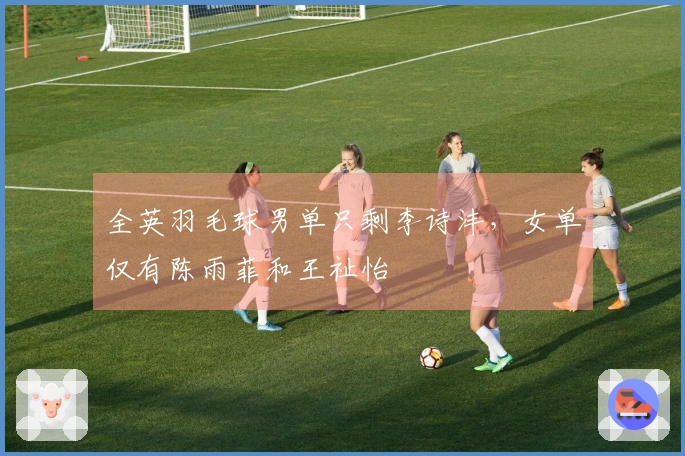 全英羽毛球男单只剩李诗沣，女单仅有陈雨菲和王祉怡