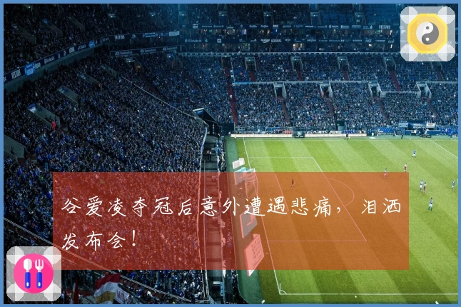 谷爱凌夺冠后意外遭遇悲痛，泪洒发布会！